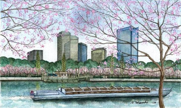 ���J�̑���