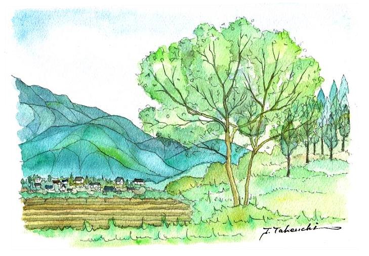 �\���̎R��