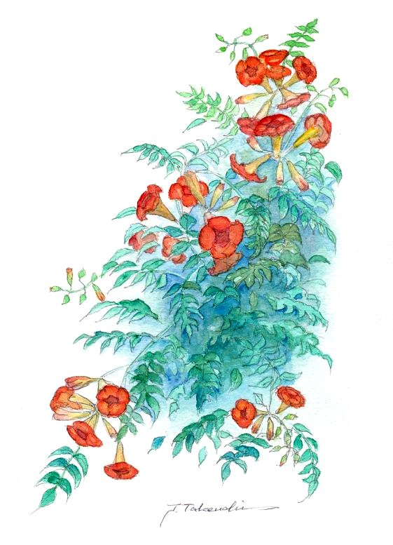 �m�E�[���J�Y��