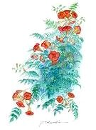 �m�E�[���J�Y��