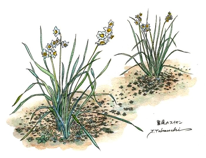 �쐶�̐���