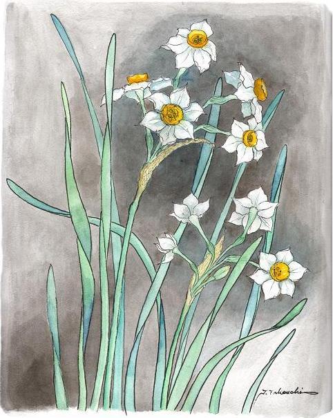 �X�C�Z��(2)