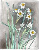 �X�C�Z��(2)