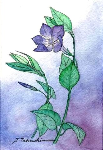 �c���j�`�j�`�\�E