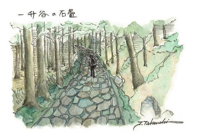 �ꏡ�J�̐Ώ�